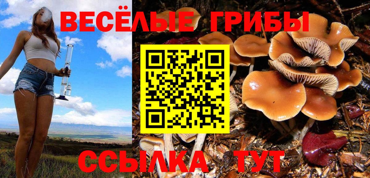 Ярцево  где можно купить   Вход с VPN  Галлюциногенные грибы GOLDEN TEACHER 